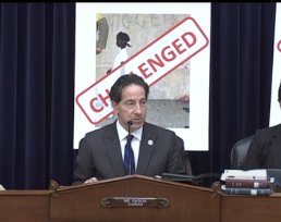 Rep. Raskin seated in the Civil Rights and Civil Liberties Subcommittee Chair with a poster of a banned Ruby Bridges book behind him.